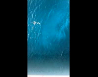 Girl feeds fish barracuda food boat sunset