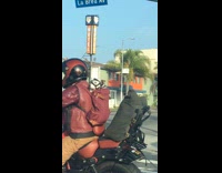 Puppy carried by owner on the motorcycle