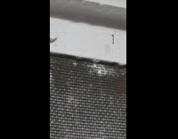 Bouncy spider on toilet vent window dances