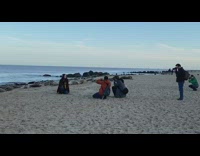 Girl sit seals group beach photographers howl