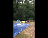 Two guys slide with tubes on slip and slide then crash into friend on yellow inflatable duck