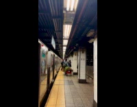 Woman walking pulls wagon with Christmas tree