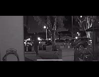 Guy throws litter box with perfect trickshot