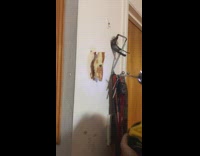 Pizza nailed and drilled to the wall