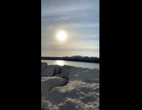 Man meet friendly cat on beach boulders