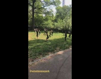 People in Black Practice Sword Swinging Skills 