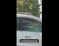 Guy plays clarinet in parked car