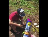 Couple puts firework inside watermelon