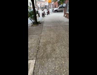 Guy uses water from hydrant to wash car 