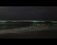Submitter films waves with Bioluminescent 
