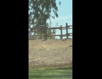 Collab IITW - Woman walks front of tripod at walkway