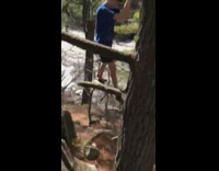 Guy stands on tree branch fail