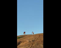 Collab IITW - Girl poses top of mountain red scarf