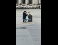 Man taking picture of pug on black box