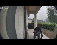 Woman home from school slips on floor