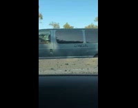 Collab WINY - Dog stands on owner back rides bicycle