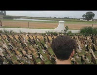 Hundreds of ducks walk across grass together 