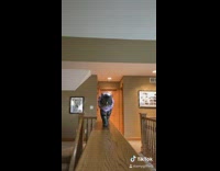 Grey cat has fashion show wood railing