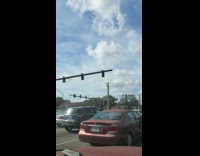 Tiny frog jumping on trucks windshield 