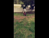 Grey Sweater Kid Rides Bike off Sidewalk and through White Fence