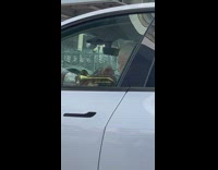 Elderly Man Plays Trumpet in Car on Stoplight