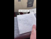 Guy grows bowtie pasta plant using seeds 