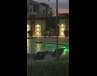 Two girls twerk community pool family watches 