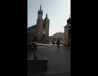 Guy feed fries to pigeon on leg