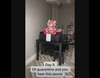 Day five quarantine red white bear COD 