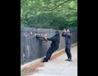 Gorilla mascot pull arm of guy at fence
