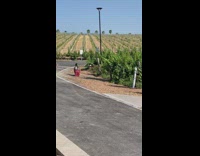 Girl red skirt sit near bushes farm