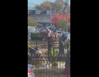 Man ride on his horse in front of the house at NY 