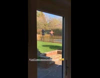 Girl pink sports bra  jump rope exercise