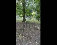 Black vest guy stands rock grass sprinklers 