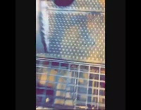 Guy black gloves red drill tool metal 