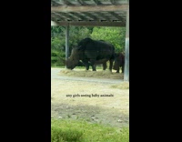 Collab Clips MPUGC - Girls excited for baby rhino