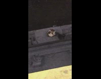Collab Subway Creatures - Rat eats cream cheese bagel dropped to the bottom of subway train tracks