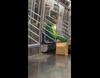 Dinosaur sits on train 