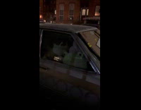 Car parked on street full of toys