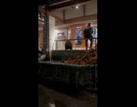 Man taunting roaming bear on store front 