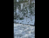 Kids walk in steep snow and fall