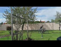 Guy ride motorbike across the yard image