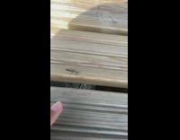 Collab DailyDoseOfInternet - Insect fly into wood crack away from finger