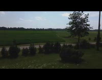 Drone shot two stork birds baby nest