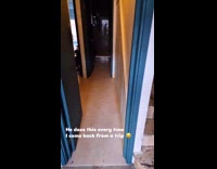 Man arrives while cat makes loud meows