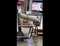 Man jokes about elderly doing whippets