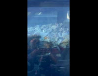 Collab Clips MPUGC - Woman sees truck full of cigarette boxes 