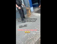 Girl tells police dog to sit 