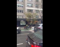 Man reaches plastic on tree with surfboard