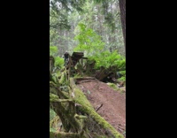 Guy falls forward off bike into tree 